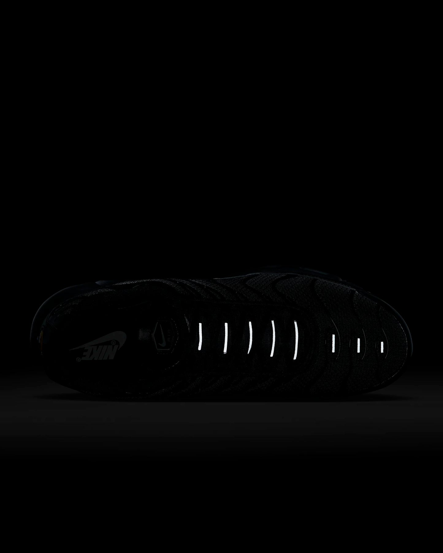 Nike Air Max Plus TN Black