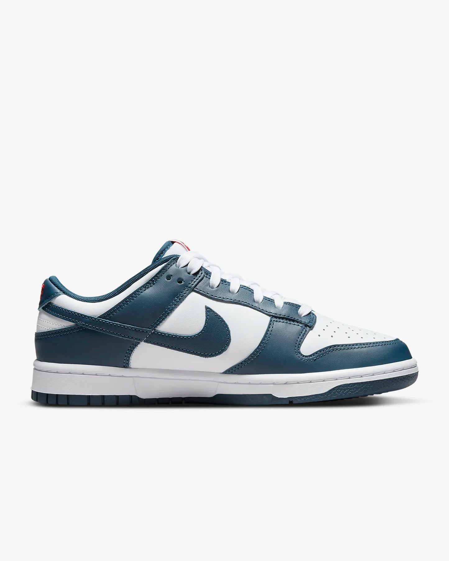 Nike Dunk Low Retro Blue