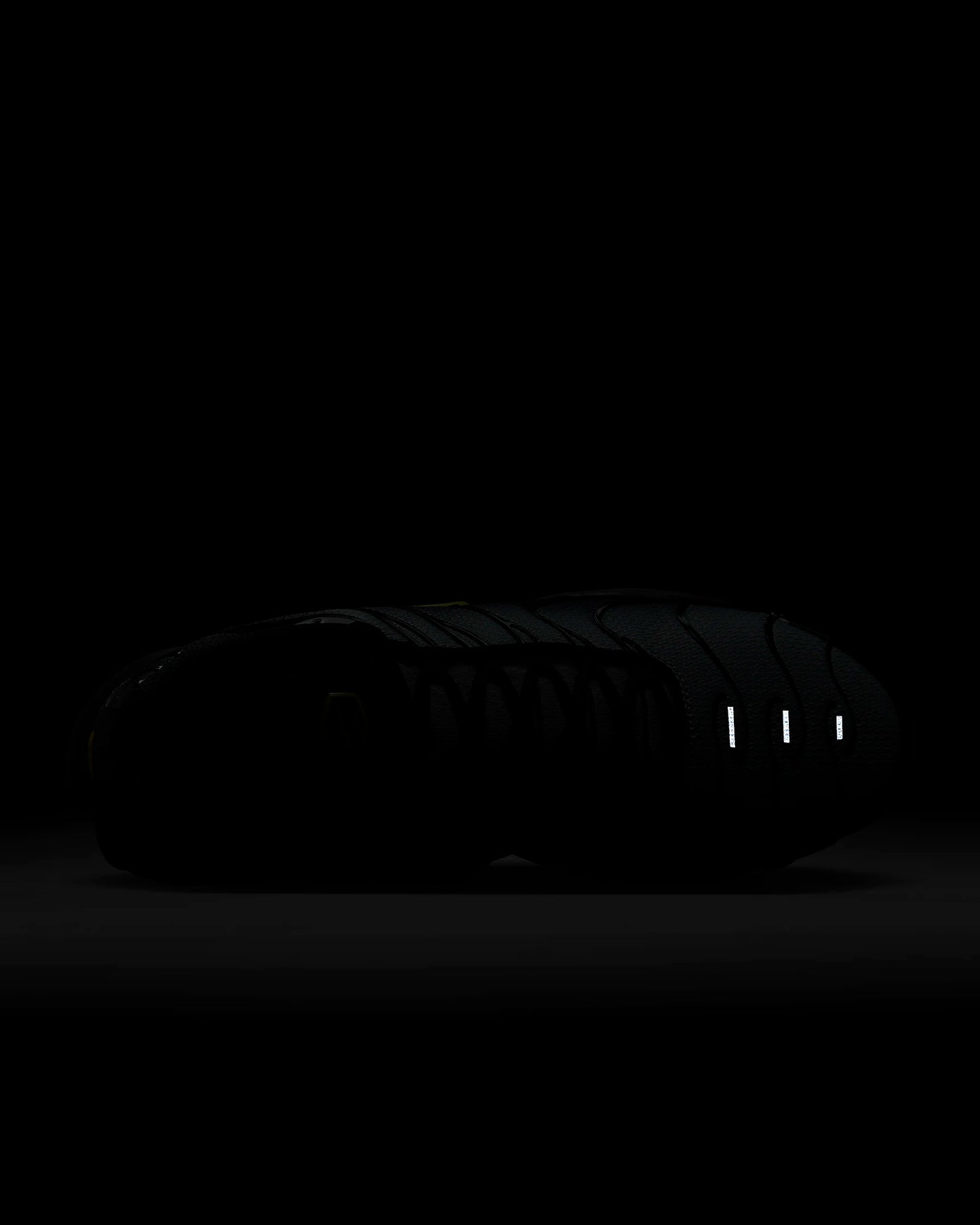 Nike Air Max Plus TN Black White