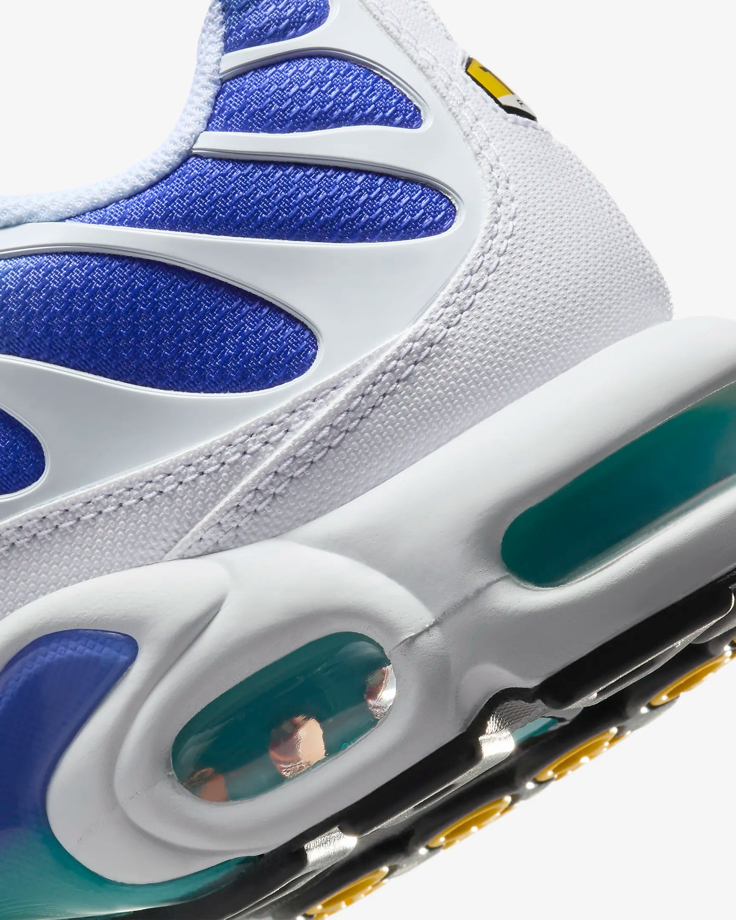 Nike Air Max Plus TN Blue White
